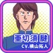 亚切须腱