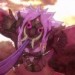 魔眼狒狒王