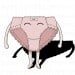 パンティ