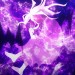 黑月斋