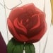 ブリギット