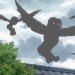 鳥妖怪