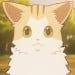 新弟子猫