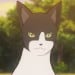 师姐弟子猫