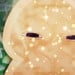 蘑菇之主
