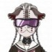 幌岛轮回