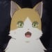 毛長猫