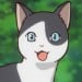 丈夫猫