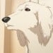 金持ちの家の犬
