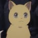 ちょい毛長猫