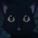 黑猫