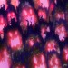 千の闇