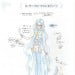 水手铝海妖