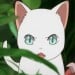 长男猫
