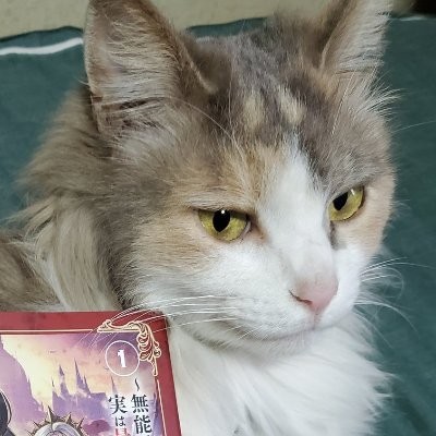 羽田辽亮