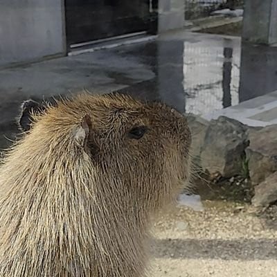 佐东充