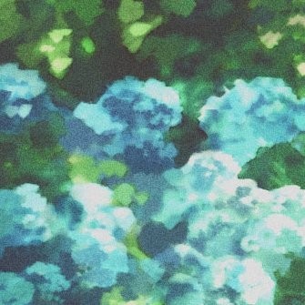 桦泽侑里