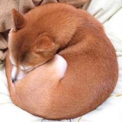 壁井有可子