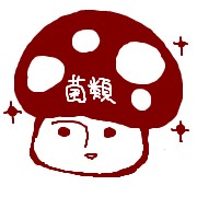 木乃ひのき