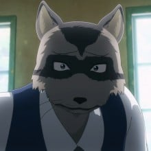 アライグマ