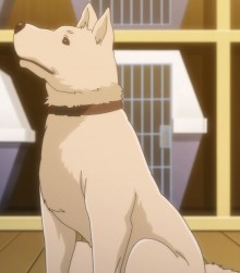 龙