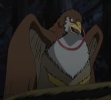 鵔