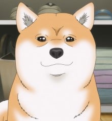 茶太郎