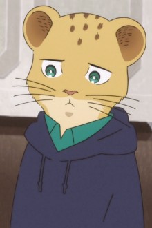 巴巴里狮