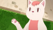 宾奇