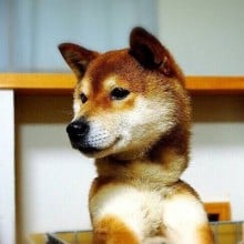 笠井雄太