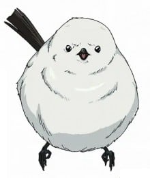 长尾山雀