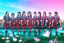 高岭抚子