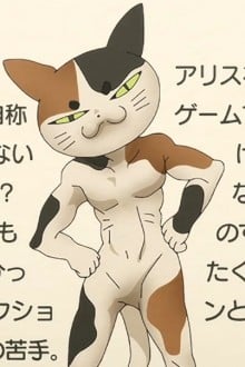三毛猫