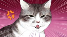 ズン姐さん