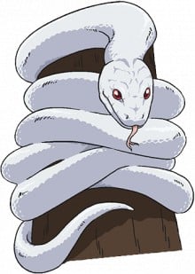 大蛇