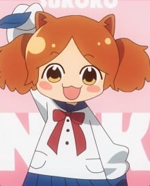苏格子