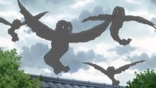 鳥妖怪