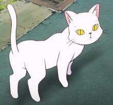 ねこ