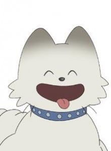 胖奇