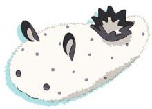 不死