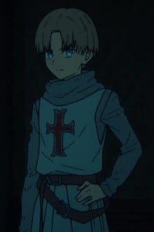 十字军服的少年骑士