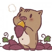日向夏