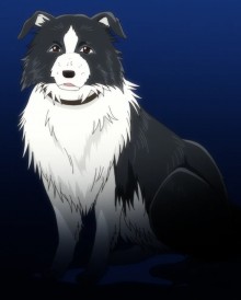 瑞可赛