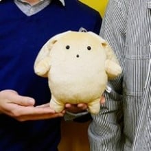 宇佐义大