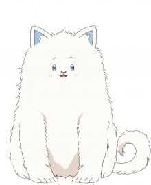 小白