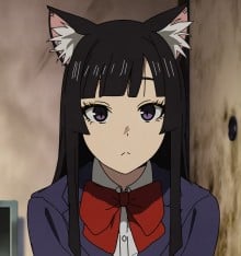 写作猫