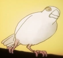 尾白