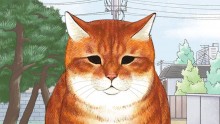 ちゃー