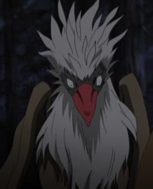 鹗