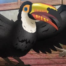 オニオオハシ